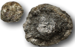 Biotitlinse - Geburtshelfer