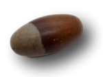 Shiva-Lingam Steine stammen aus dem heiligen Fluss Narmada in Indien.