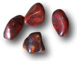 Stromatolith (USA) -  Dickdarm-Sanierer