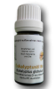 Eukalyptusöl Bio - bei Bronchialerkrankungen